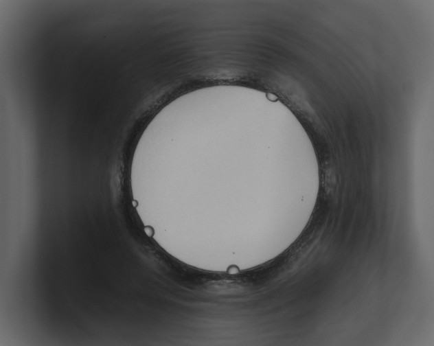 X0000100480544200807111103