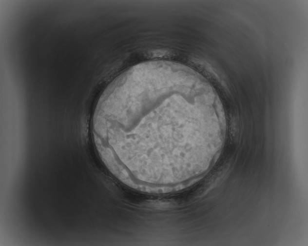 X0000100480545200807111103