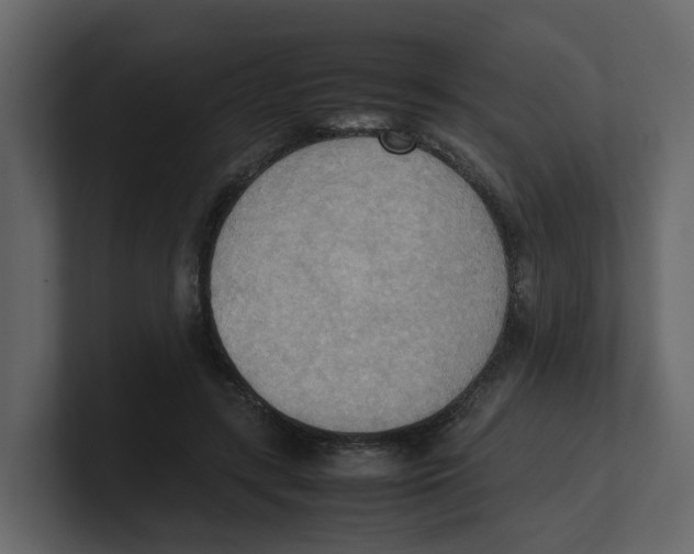 X0000100480547200807111103