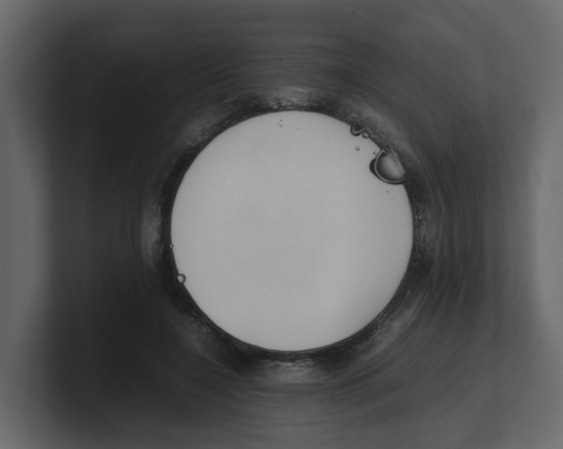 X0000100480548200807111103