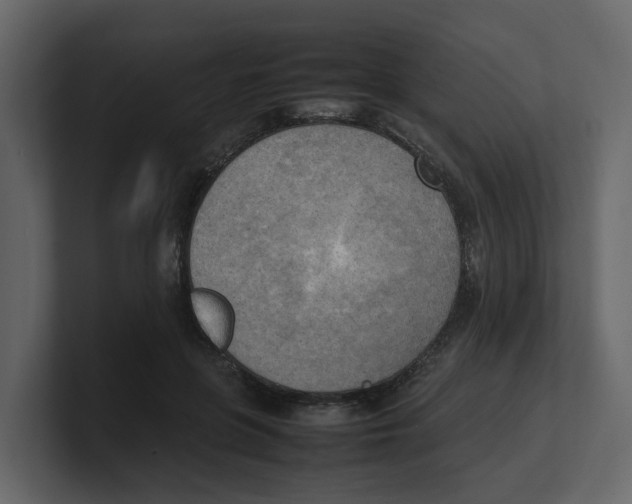 X0000100480551200807111103