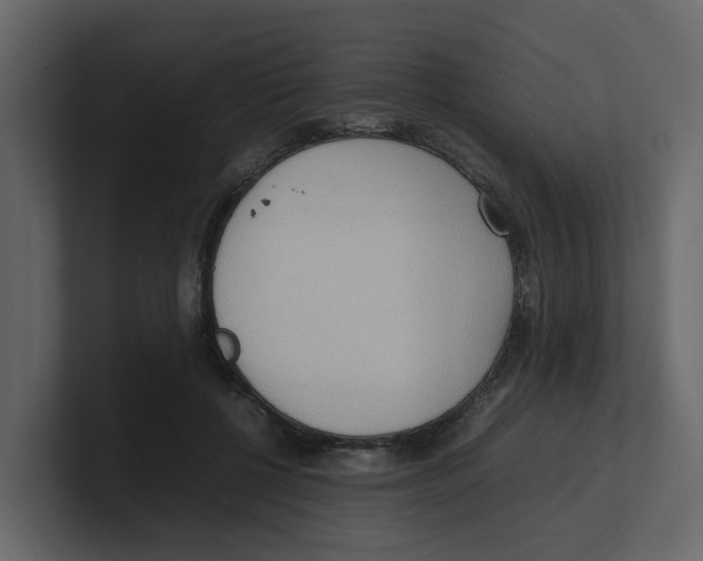 X0000100480552200807111103