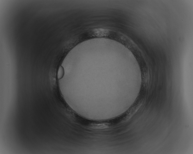 X0000100480553200807111103