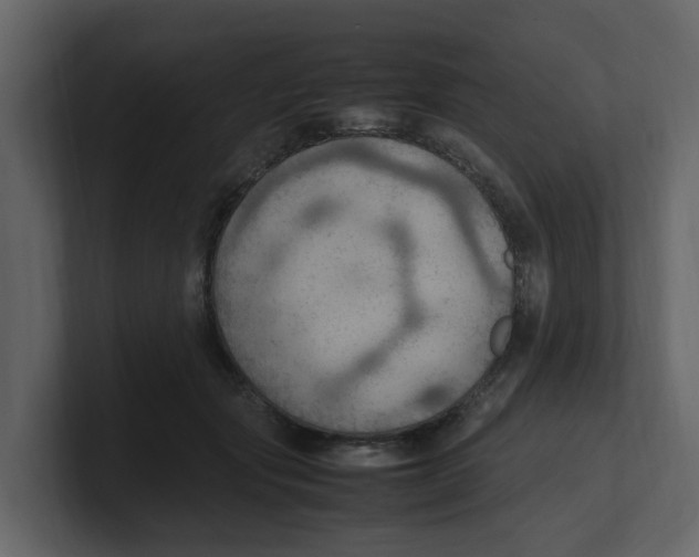 X0000100480557200807111103