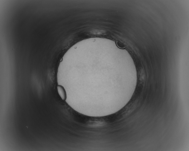 X0000100480559200807111104