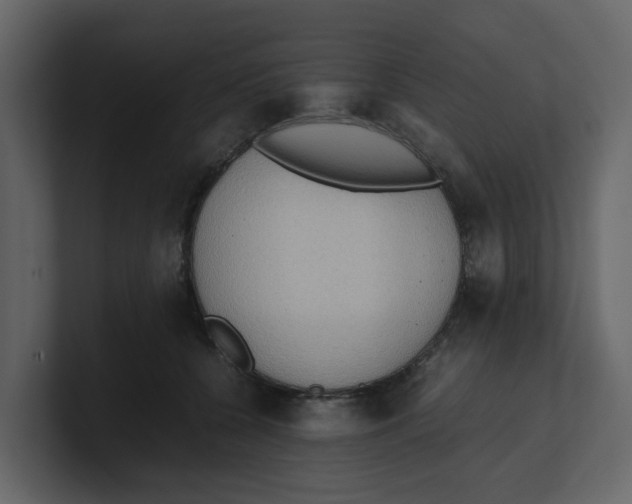 X0000100480560200807111104