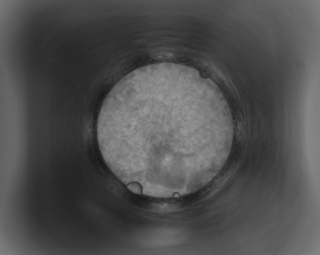 X0000100480561200807111104