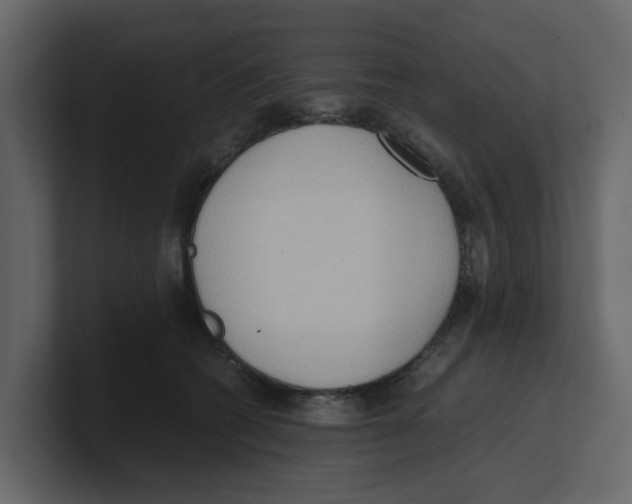 X0000100480562200807111104