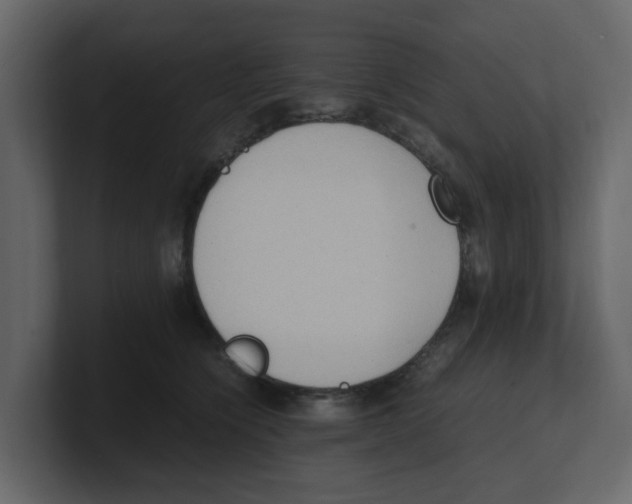 X0000100480564200807111104