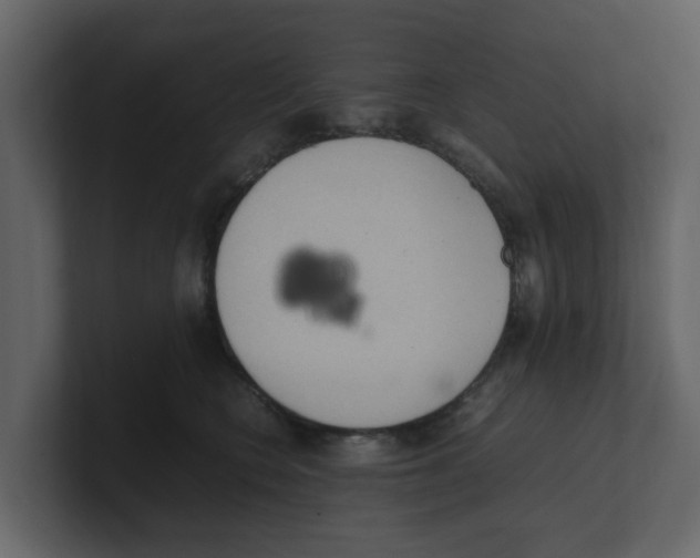 X0000100480566200807111104