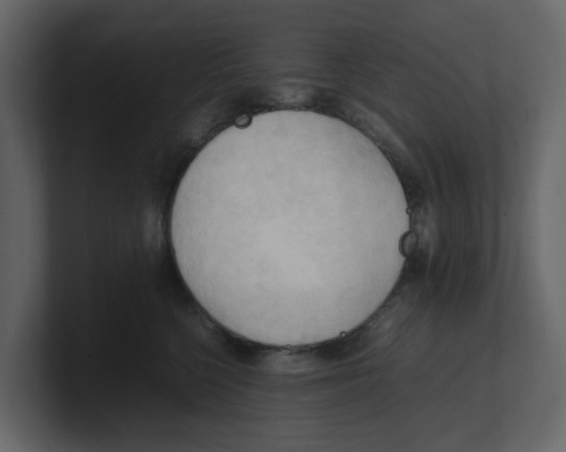 X0000100480568200807111104