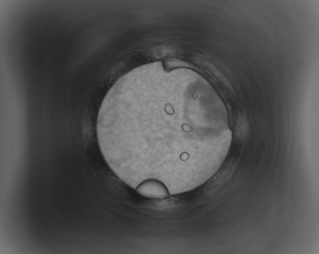 X0000100480569200807111104