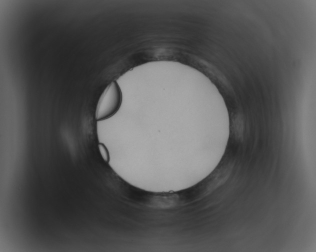 X0000100480571200807111104