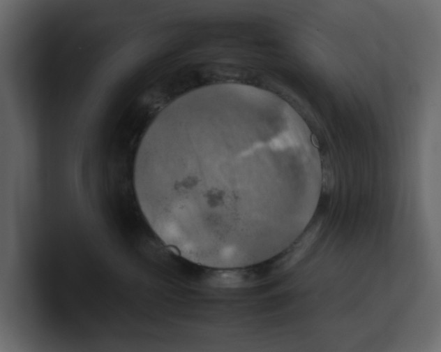 X0000100480573200807111104