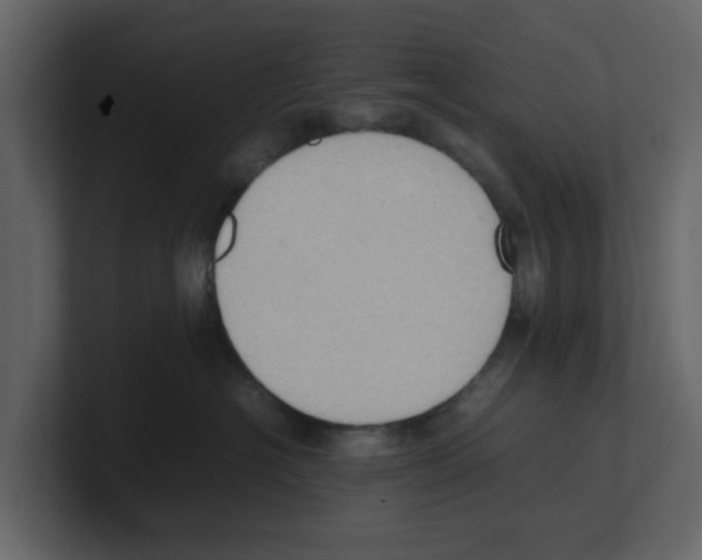 X0000100480574200807111104