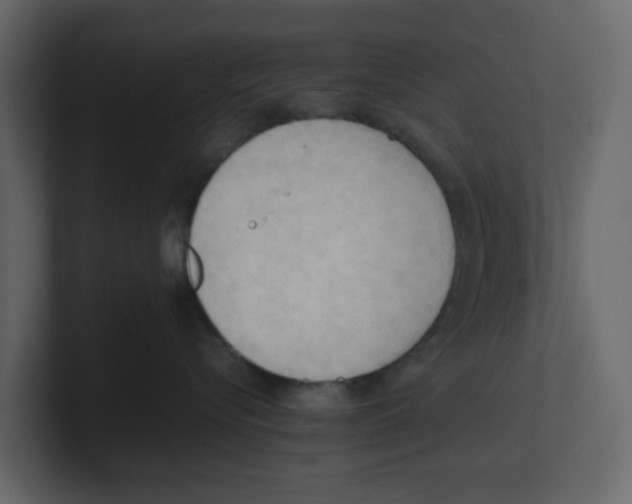 X0000100480576200807111104