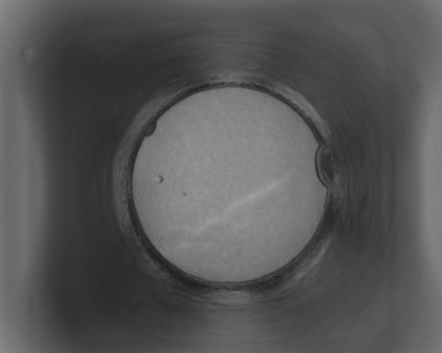 X0000100480577200807111103