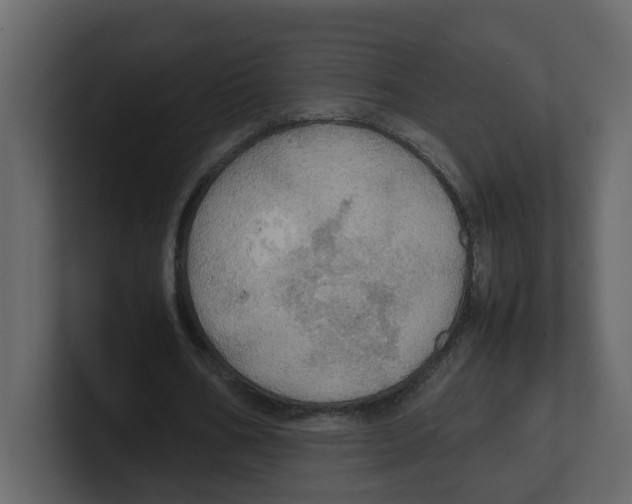 X0000100480578200807111103