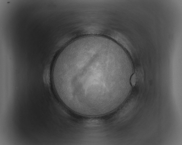 X0000100480581200807111103