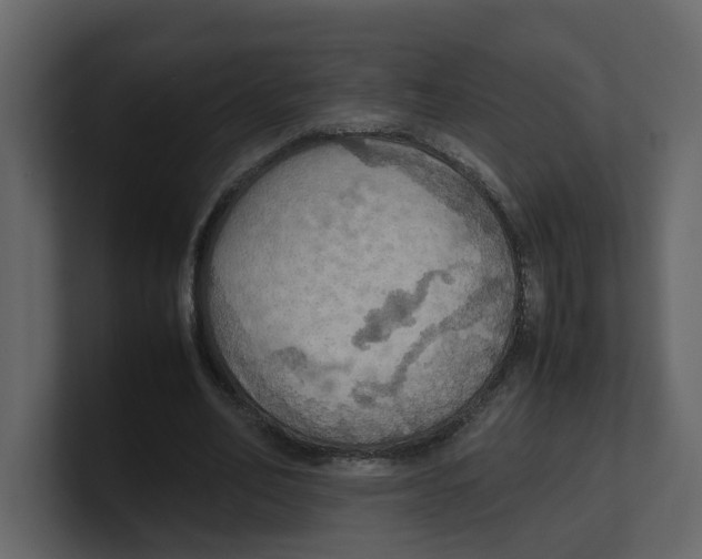 X0000100480582200807111103