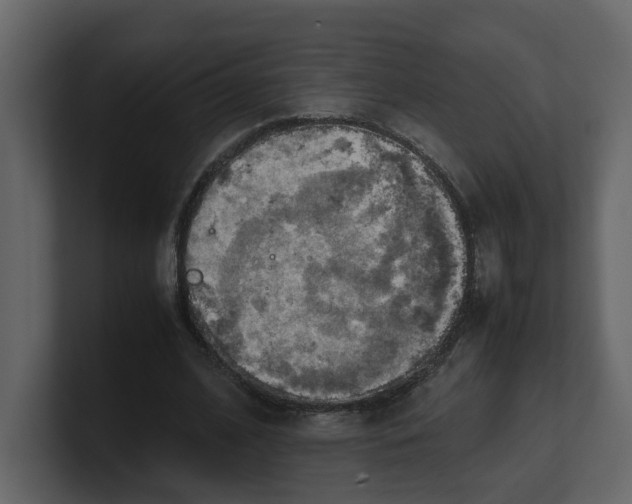 X0000100480584200807111103