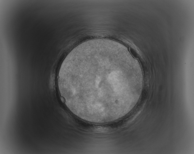 X0000100480585200807111103