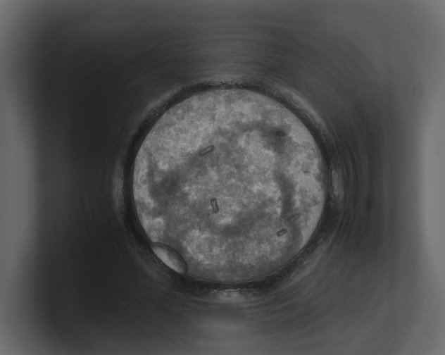 X0000100480588200807111103