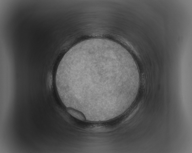 X0000100480589200807111103