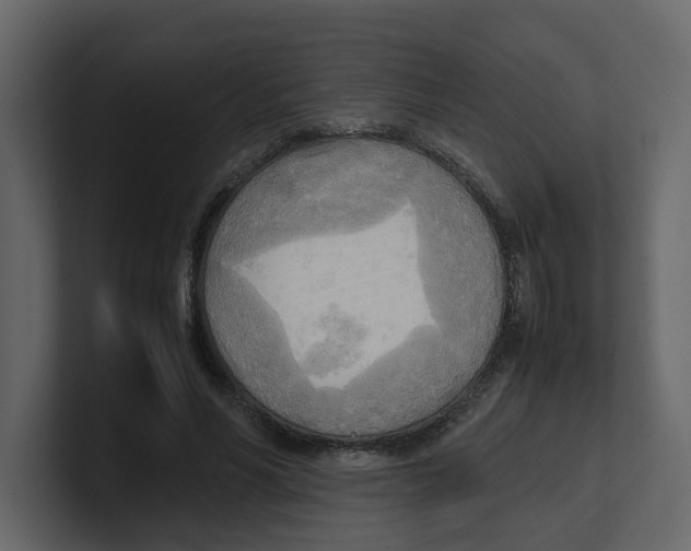 X0000100480590200807111103