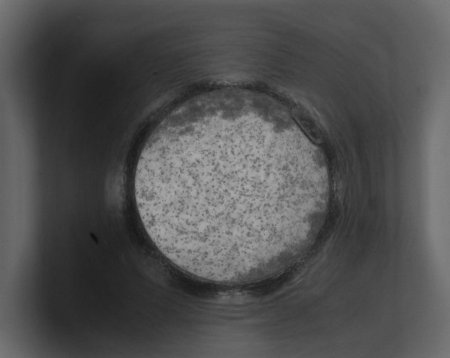 X0000100480591200807111103