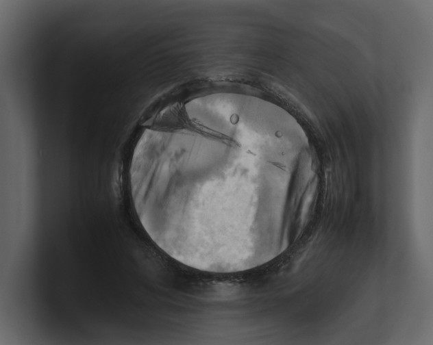 X0000100480592200807111103