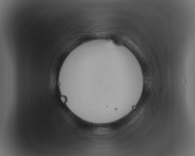 X0000100480593200807111103