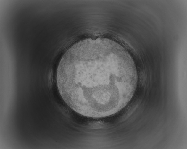 X0000100480594200807111103