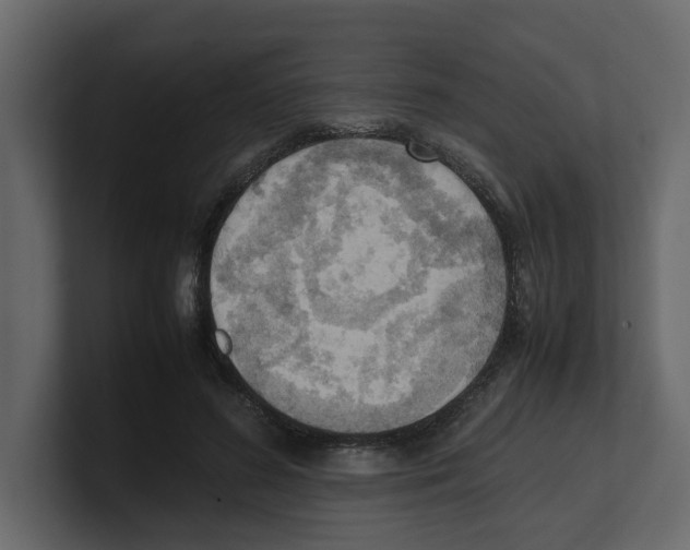 X0000100480596200807111103