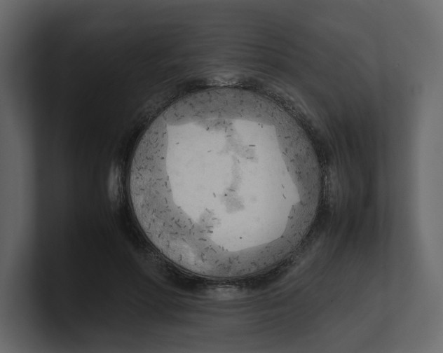 X0000100480598200807111103