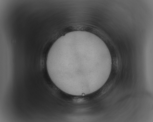 X0000100480602200807111103