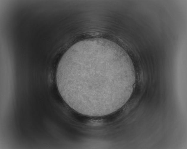 X0000100480606200807111103