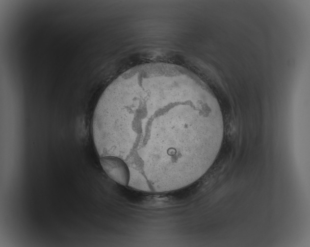 X0000100480607200807111103