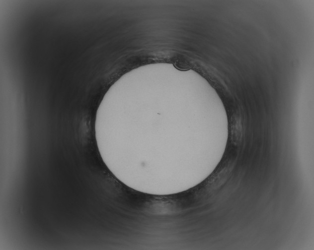 X0000100480608200807111103