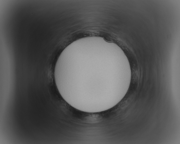 X0000100480609200807111103