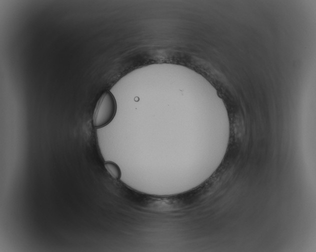 X0000100480611200807111103