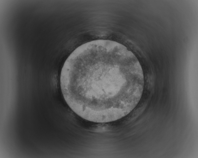 X0000100480612200807111103