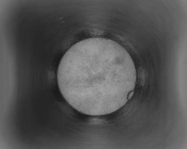 X0000100480614200807111103