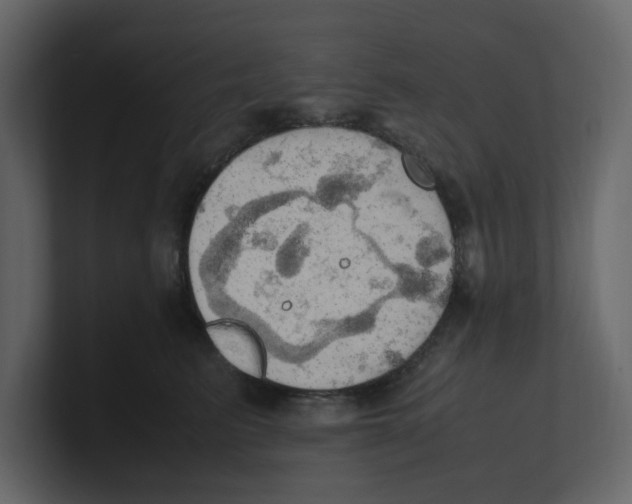 X0000100480615200807111103