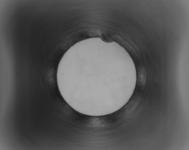 X0000100480616200807111103