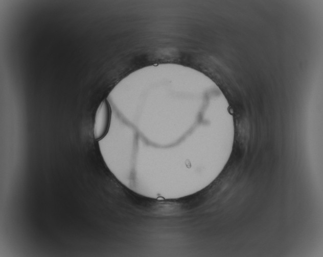 X0000100480617200807111103