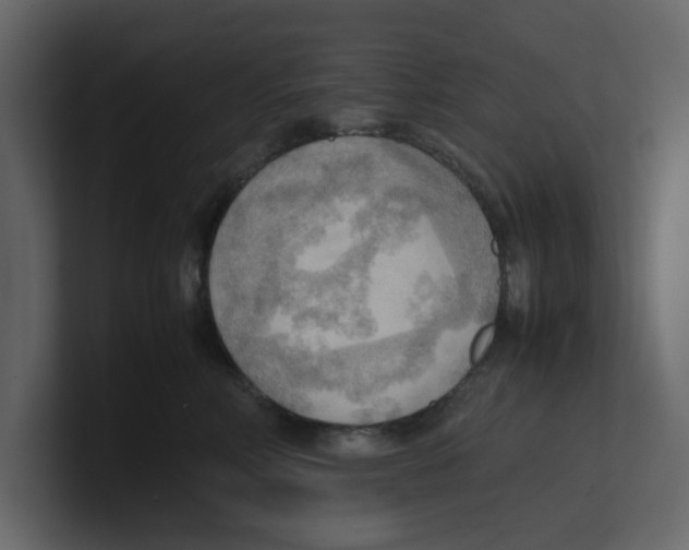 X0000100480618200807111103