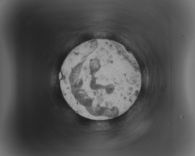 X0000100480619200807111102