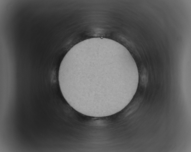 X0000100480620200807111102