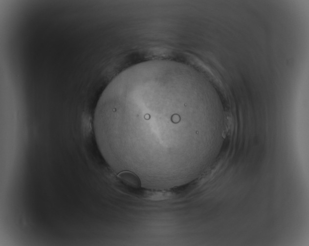 X0000100480621200807111102